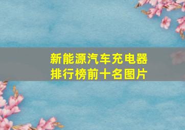 新能源汽车充电器排行榜前十名图片