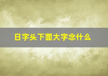 日字头下面大字念什么