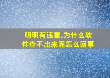 明明有违章,为什么软件查不出来呢怎么回事