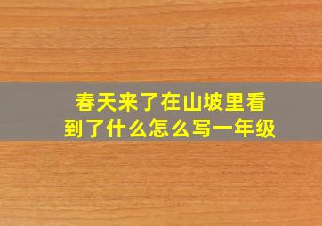 春天来了在山坡里看到了什么怎么写一年级