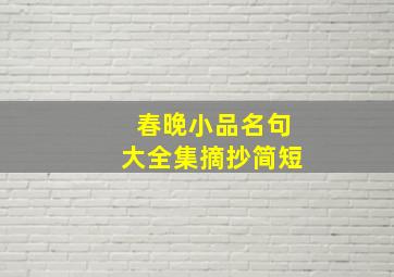 春晚小品名句大全集摘抄简短