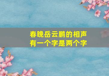 春晚岳云鹏的相声有一个字是两个字