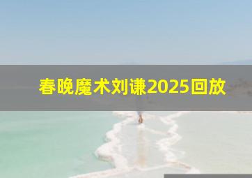 春晚魔术刘谦2025回放