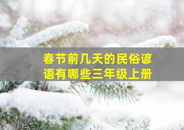 春节前几天的民俗谚语有哪些三年级上册