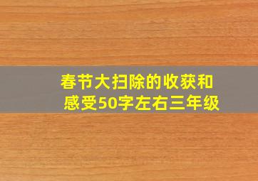 春节大扫除的收获和感受50字左右三年级