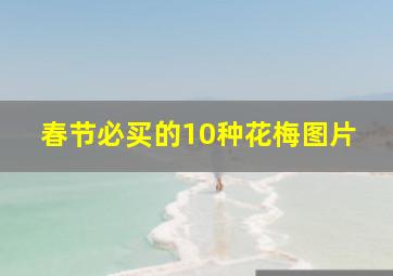 春节必买的10种花梅图片