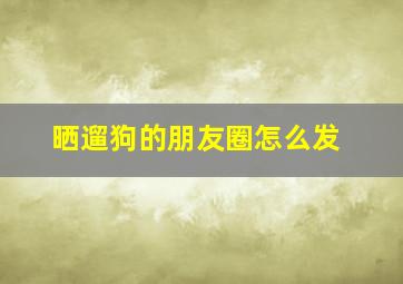 晒遛狗的朋友圈怎么发