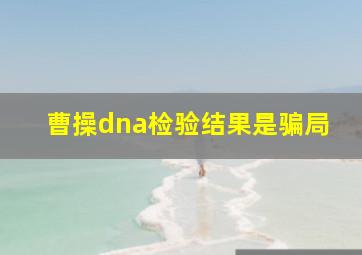 曹操dna检验结果是骗局