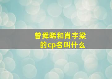 曾舜晞和肖宇梁的cp名叫什么