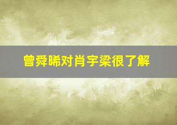 曾舜晞对肖宇梁很了解