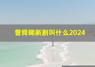 曾舜晞新剧叫什么2024