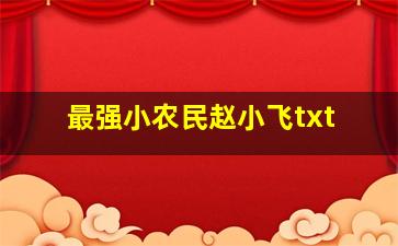 最强小农民赵小飞txt