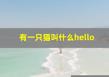 有一只猫叫什么hello