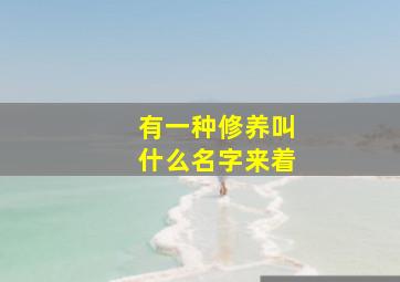 有一种修养叫什么名字来着