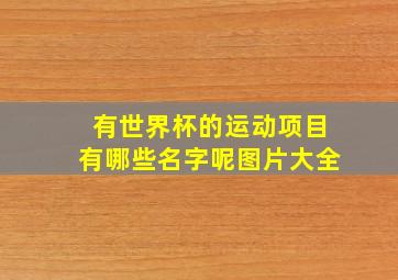 有世界杯的运动项目有哪些名字呢图片大全