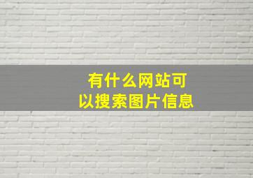 有什么网站可以搜索图片信息