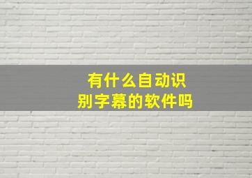 有什么自动识别字幕的软件吗