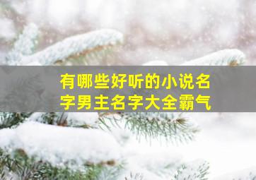 有哪些好听的小说名字男主名字大全霸气