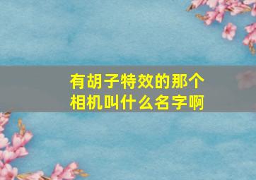 有胡子特效的那个相机叫什么名字啊