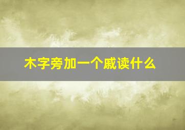 木字旁加一个戚读什么