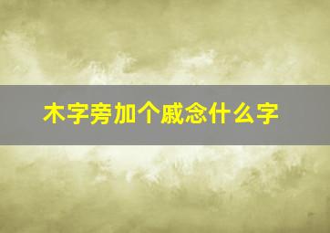 木字旁加个戚念什么字