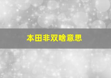 本田非双啥意思