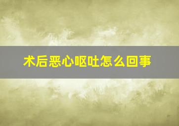 术后恶心呕吐怎么回事