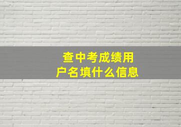 查中考成绩用户名填什么信息