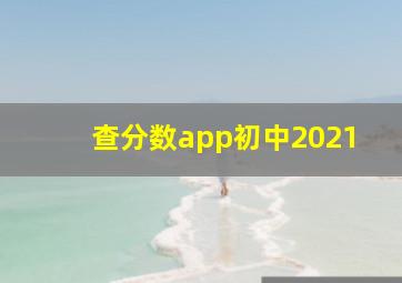 查分数app初中2021