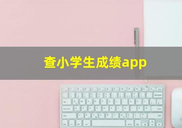 查小学生成绩app