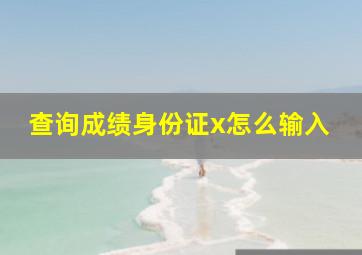 查询成绩身份证x怎么输入