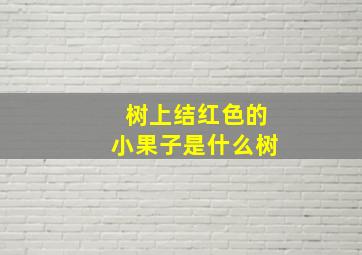 树上结红色的小果子是什么树