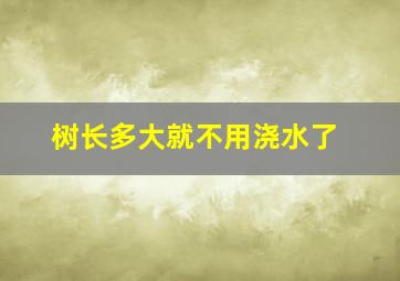 树长多大就不用浇水了