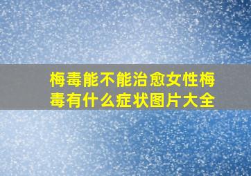 梅毒能不能治愈女性梅毒有什么症状图片大全