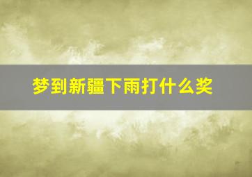 梦到新疆下雨打什么奖