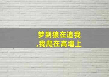 梦到狼在追我,我爬在高墙上