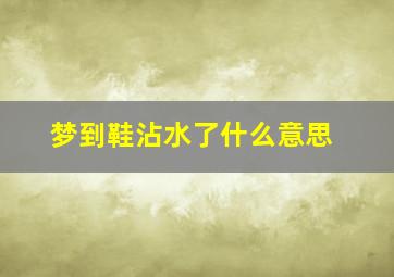 梦到鞋沾水了什么意思