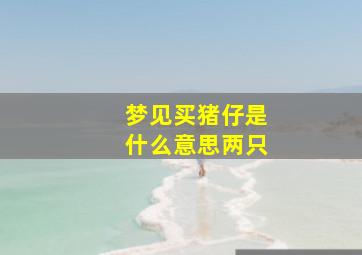 梦见买猪仔是什么意思两只