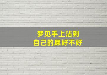 梦见手上沾到自己的屎好不好