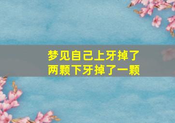 梦见自己上牙掉了两颗下牙掉了一颗