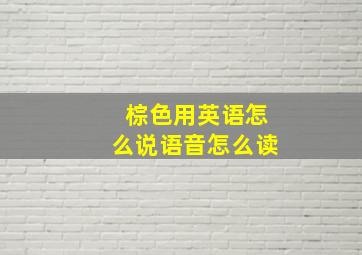 棕色用英语怎么说语音怎么读