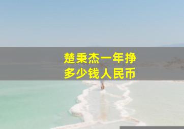 楚秉杰一年挣多少钱人民币