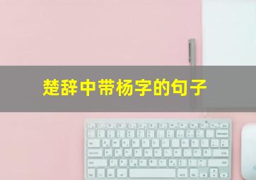 楚辞中带杨字的句子