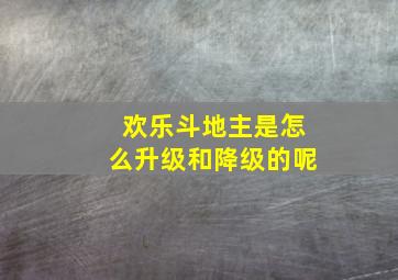 欢乐斗地主是怎么升级和降级的呢