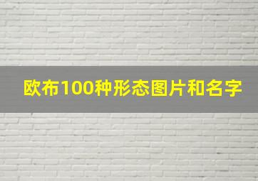 欧布100种形态图片和名字