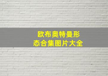 欧布奥特曼形态合集图片大全