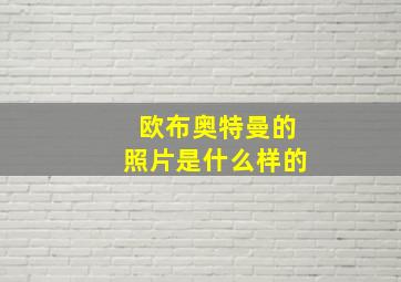 欧布奥特曼的照片是什么样的