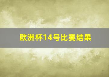 欧洲杯14号比赛结果