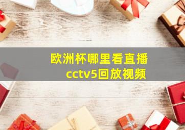 欧洲杯哪里看直播cctv5回放视频