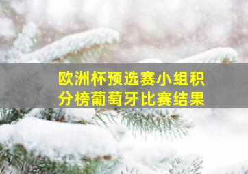 欧洲杯预选赛小组积分榜葡萄牙比赛结果